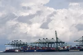 In the first five months of 2026, Singapore’s exports to Vietnam totall 12.3 billion SGD, up 4.8%, while its imports from Vietnam surge 142.9% to 11 billion SGD (Photo: XINHUA/VNA)