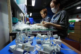 Workers at a Taiwanese company in An Duong industrial part, Hai Phong city. (Photo: VNA)