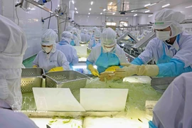 VietFarm’s aloe vera production line. (Photo: VNA)