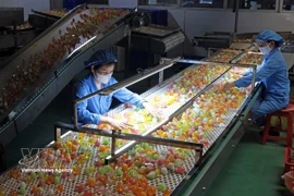 Jelly production at Long Hai Co., Ltd., Industrial Cluster 1, Thach Khoi ward, Hai Phong city (Photo: VNA)