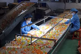 Jelly production at Long Hai Co., Ltd., Industrial Cluster 1, Thach Khoi ward, Hai Phong city (Photo: VNA)
