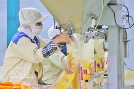 Rice packaging for export at the factory of Thao Son One Member Limited Liability Food Company, under Loc Troi Group JSC. (Photo: VNA)