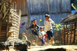 Achievements in education, healthcare, social welfare – solid foundation for Vietnam’s steady development