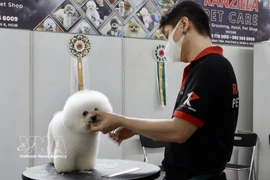 In major cities such as Hanoi and Ho Chi Minh City, demand for pet-related services is surging. (Photo: VNA)