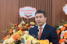 Phan Anh Son, President of the VUFO, speaks at the congress (Photo: VNA)