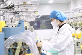 FDI enterprises are shifting to modern production models, applying technology, improving productivity, product quality, and increasing competitiveness in the international market. (Illustration photo: VNA)