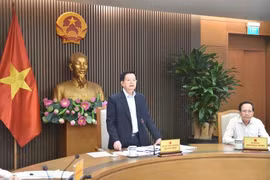 Deputy Prime Minister Mai Van Chinh speaks at the meeting to review preparations for Vesak 2025 in Hanoi on April 16. (Photo: VNA)