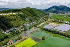 The Quang Trach-Pho Noi 500kV circuit-3 power transmission line, completed in September 2024, ensures a stable power supply for the northern region and contributes to its economic development. (Photo: VNA)