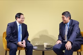 Prime Minister Pham Minh Chinh (L) meets with President of Palau Surangel Whipps Jr. in Nice, France on June 9 (Photo: VNA)