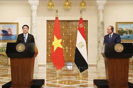 Vietnamese State President Luong Cuong (L) and Egyptian President Abdel Fattah El-Sisi at the press conference following their talks. (Photo: VNA)