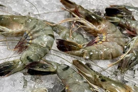 Illustrative image (Photo: Internet)