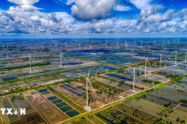 The coastal wind farm in Bac Lieu provides a plentiful source of energy. (Photo: VNA) 