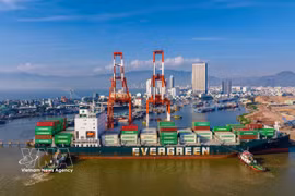 Container ships unloading goods at Quy Nhon Port - the main import and export gateway for goods from the Central Highlands, and the starting point in Gia Lai province's logistics system (Photo: VNA)