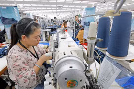 Apparel is a major contributor to Vietnam's exports (Photo: VNA)