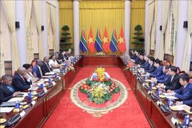 The talks between Vietnamese President Luong Cuong and South African President Matamela Cyril Ramaphosa in Hanoi on October 23. (Photo: VNA)