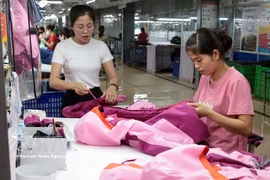 Garment production for export to the EU at the TNG company in Thai Nguyen province (Photo: VNA)