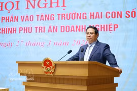 Prime Minister Pham Minh Chinh speaks at the conference. (Photo: VNA)