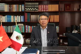 Vietnamese Ambassador to Mexico and Panama Nguyen Van Hai (Photo: VNA)