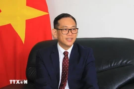 Vietnamese Ambassador to Algeria Tran Quoc Khanh (Photo: VNA)