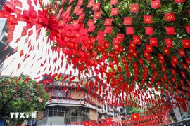 A street in Hanoi filled with the national flags. (Photo: VNA)
