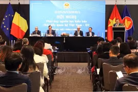 At the conference held in Brussels, Belgium, on June 7. (Photo: VNA)