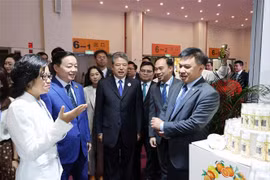 Deputy Prime Minister Tran Hong Ha (second from left) visits a booth of Vietnam at the 9th China-South Asia Expo and the 29th Kunming Import and Export Fair. (Photo: VNA)