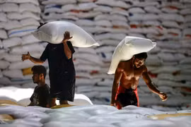 Workers carry rice bags at the logistics firm Bulog warehouse in North Maluku on December 20, 2024. (Photo: Antara)