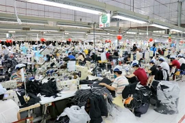 Tien Thuan Garment Company in Khanh Hoa Province. The Ministry of Home Affairs has proposed creating a centralised national platform for electronic labour contracts. (Photo: VNA)