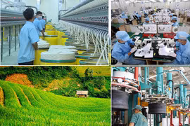 Illustrative image (Photo: baochinhphu.vn)