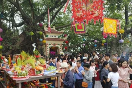 Phu Tay Ho draws large crowds on the morning of the first day of the Lunar New Year. (Photo: VNA)