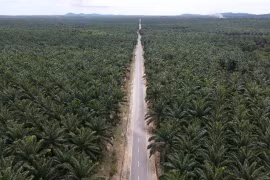 Illustrative photo (Photo: thejakartapost.com)