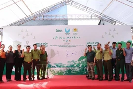 Participants at the launch ceremony (Photo: VNA)