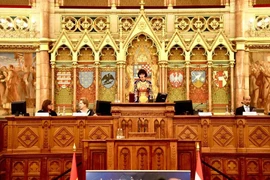 Dr Phan Bich Thien, President of the Vietnamese Women’s Forum in Europe and head of the organising committee, speaks at the event on June 15. (Photo: VNA)