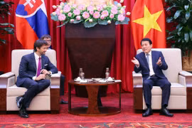 Minister of Public Security General Luong Tam Quang hosts in Hanoi on November 18 Deputy Prime Minister and Minister of Defence of Slovakia Robert Kaliňák. (Photo: VNA)