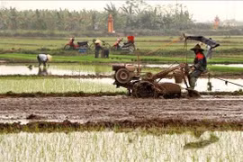 Malaysia moves to protect farmland from industrial expansion