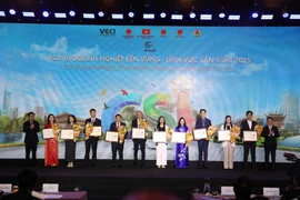 The “CSI Star” trophy is presented to 11 outstanding companies that have been named among the Top 10 Sustainable Companies for five consecutive years or more. (Photo: VietnamPlus)