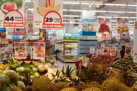 Illustrative image (Photo: VNA)