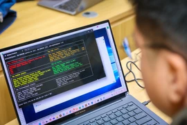 Illustrative image (Photo: VNA)