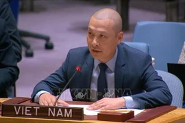Minister Counsellor Nguyen Hoang Nguyen, Deputy Permanent Representative of Vietnam to the UN (Photo: VNA)