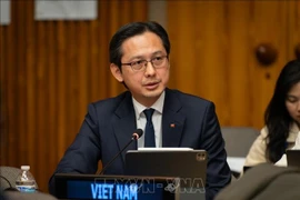 Ambassador Do Hung Viet, Permanent Representative of Vietnam to the UN, speaks at the event (Photo: VNA)