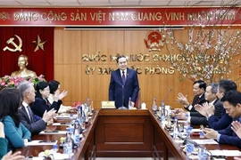 NA Chairman Tran Than Man speaks at a working session with a NA committee on February 4. (Photo: VNA)