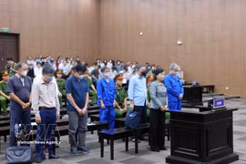 Defendants at the trial (Photo: VNA)