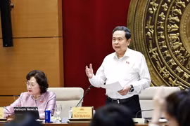 NA Chairman Tran Thanh Man speaks at the working session with standing members of the NA's Committee for Economic and Financial Affairs in Hanoi on May 20. (Photo: VNA)