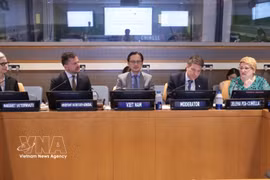 Ambassador Do Hung Viet, Permanent Representative of Vietnam to the UN, chairs the seminar (Photo: VNA)