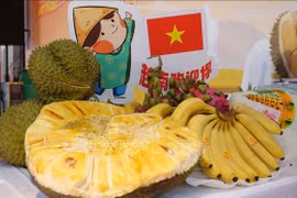 Jackfruit, durian, and bananas are among the Vietnamese fruits favoured by Chinese consumers.(Photo: VNA) 