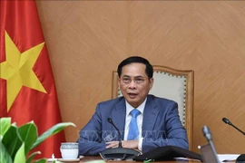 Deputy Prime Minister Bui Thanh Son (Photo: VNA)