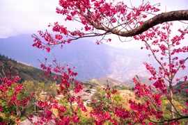 Good fortune, peace and cultural experiences within spring journeys