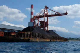 Indonesia resumes int’l carbon trading after four-year hiatus