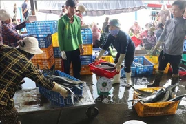 Fish trading at Hon Ro Port (Photo: VNA)