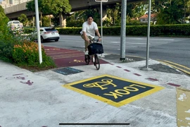 Cyclists must use the red lanes on the pavement (Photo: VNA)
